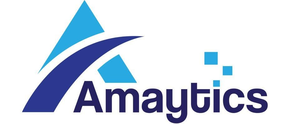 Amaytics Digital Services Pvt Ltd