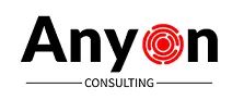 Anyon Consulting