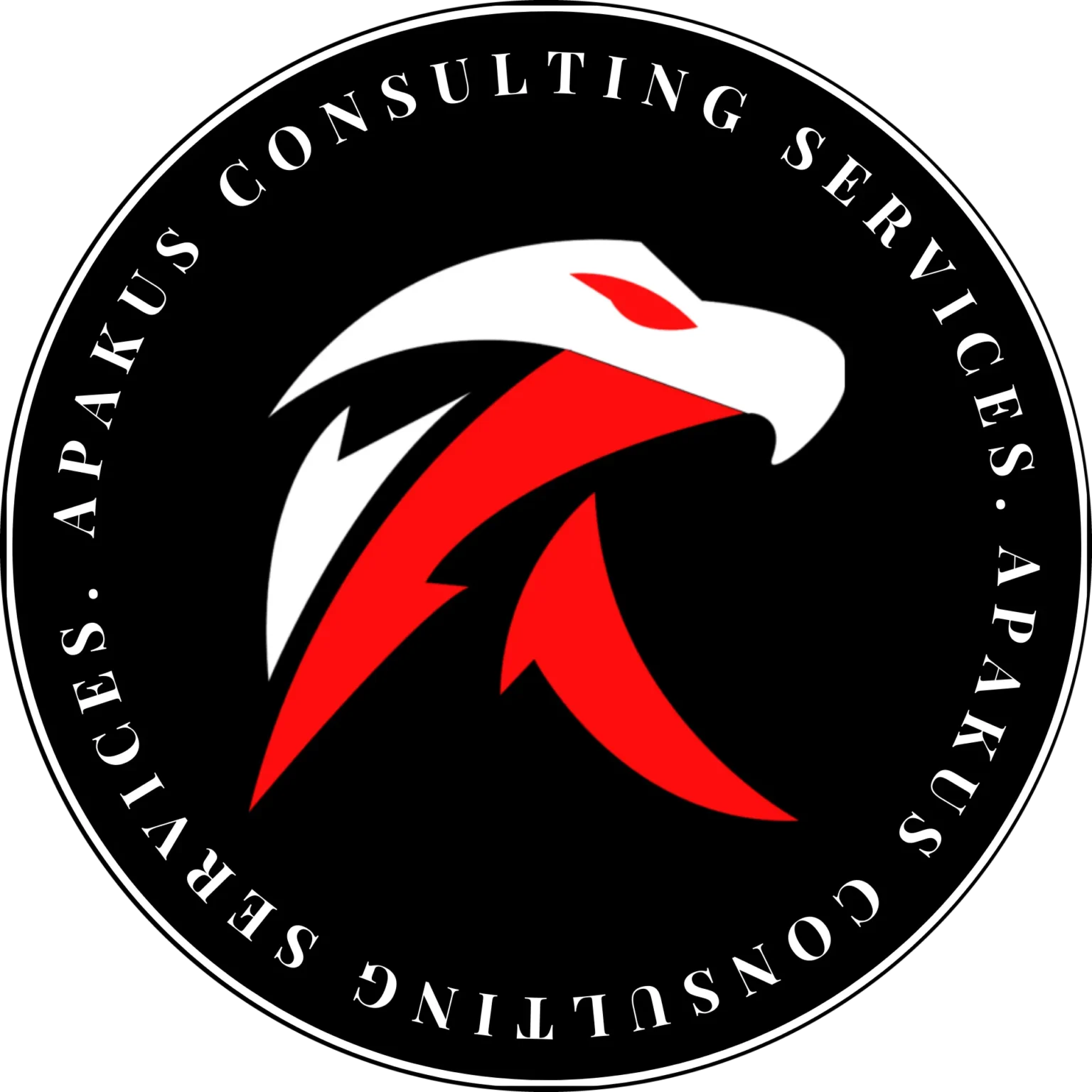 APAKUS Consulting Services