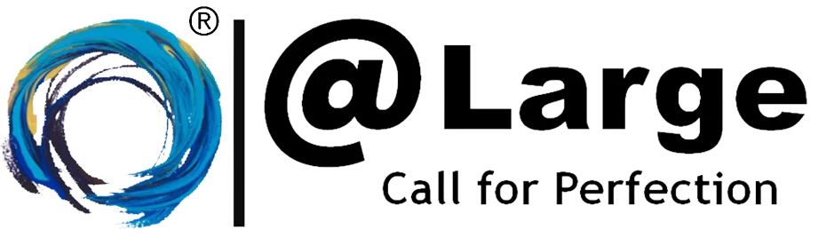 AT LARGE CONSULTANTS PVT LTD