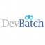 DevBatch