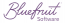 Bluefruit Software