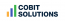 Cobit Solutions