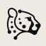 Code Cheetahs