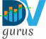 Data Visualization Gurus
