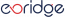 eBridge Technologies