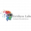 Gritbyte Labs