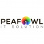 Peafowl IT Solution