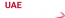 UAE Website Development