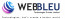 WEBBLEU TECHNOLOGIES PVT LTD