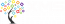 XMS