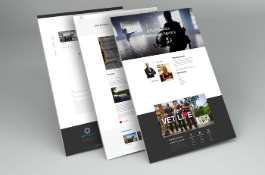 argle-bargle-films-1581109091ab-mockup.png