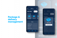 package-amp-delivery-management-1691601637-package-and-delivery-management-clutch-1-.png