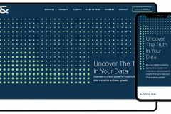 block-amp-tam-custom-data-visualization-platform-1736767086-block-and-tam-banner.png