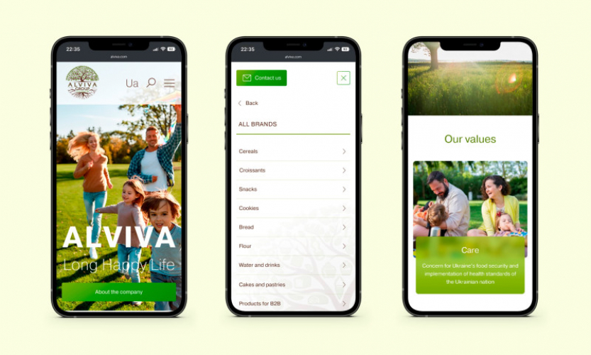 Business website for Alviva
