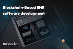 development-of-a-custom-blockchain-emr-platform-1734958578-acc6-2-.jpg