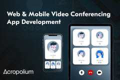 development-of-a-multiplatform-video-conferencing-app-1731423039-4.png