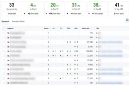 seo-case-study-fantastic-growth-in-just-3-months-1680177859-imgonline-com-ua-resize-dizbxiiit3eg.jpeg