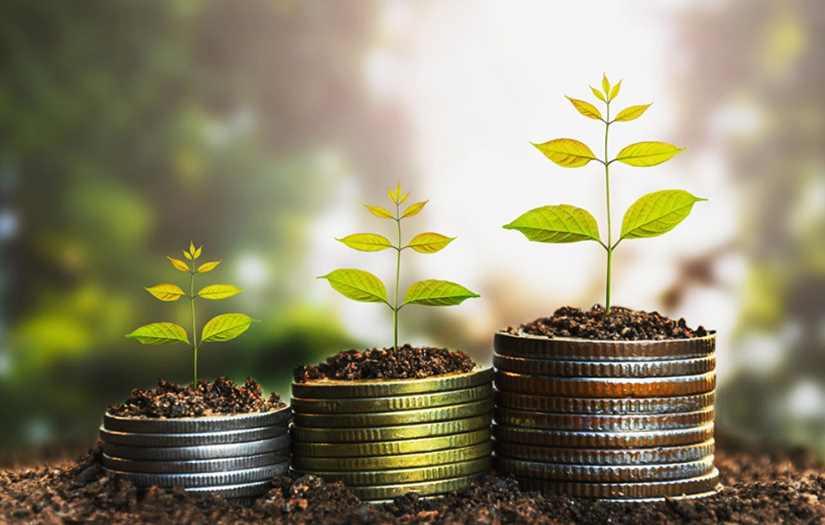 Wealth of information about Middle Eastern financial market