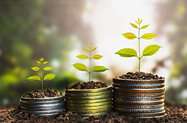 wealth-of-information-about-middle-eastern-financial-market-15164386954-fintec-thumb.jpg