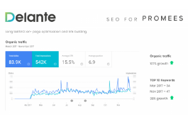 seo-for-promees-1589879741thumbnail-goodfirms-netcube-1-.png