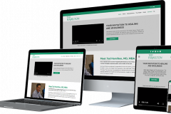 ted-hamilton-web-design-1713356968-the-healer-mockup.png.png