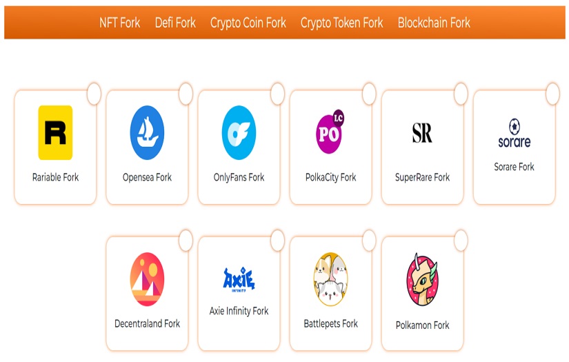 Multiple Blockchain Fork Services