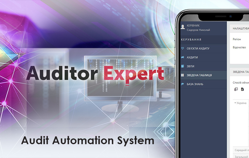 Auditor Expert, Government