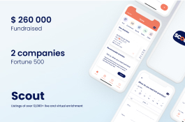 scout-it-now-1656315301-scout-265x175.jpg