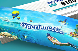 experience-co.-customer-conversion-dashboard-amp-optimisation-1582241942skydive-thumbnail.png