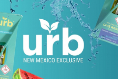 urb-new-mexico-1726572153-urb.jpg