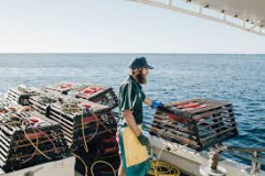 streamlining-communication-and-operations-for-a-fishing-co-operative-1750312204-download-1-.jpg