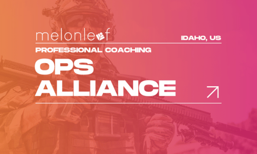 Salesforce Order Management System - OPS Alliance