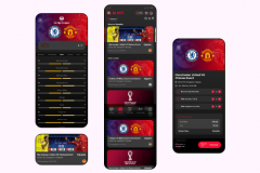 wtf-whathefootball-a-football-screening-and-ticketing-app-1715340680-wtf.png