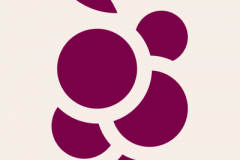 trade-monitoring-system-1751525920-profile.png