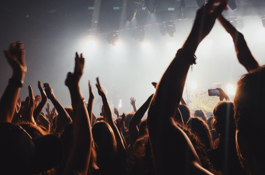 rise-records-1588795149goodfirms-rise-thumbnail.jpg