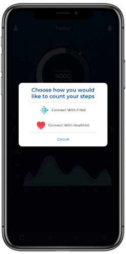 Fitness App – Success Story of StayFit