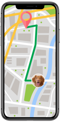 Dog Walker App