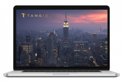 tangible-gold-1716801915-01-laptop-img.png