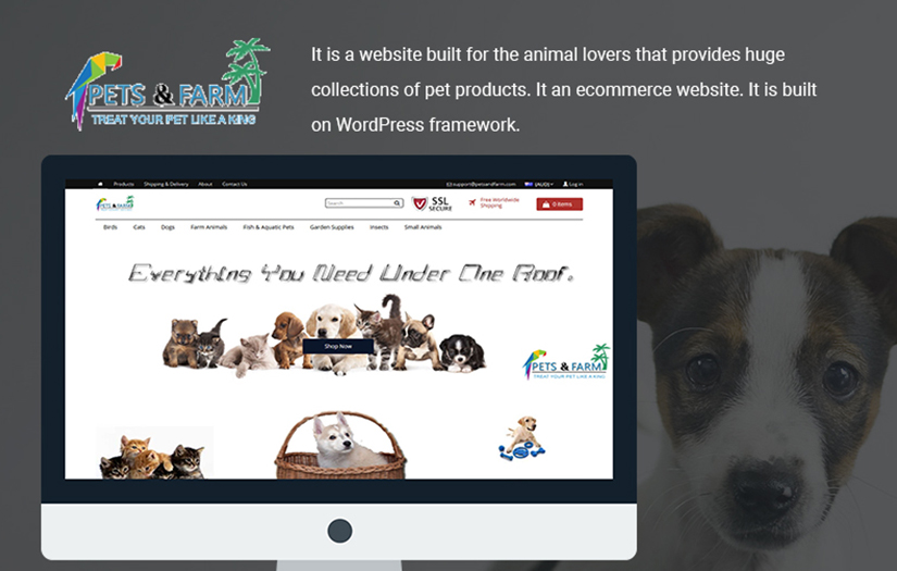 Pets and Farm- Treat Your Pet like King