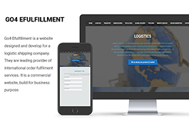 go4-efulfillment-a-complete-logistic-solution-1552726250go4-e-portfolio-265.jpg