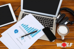 sales-management-tool-for-wolf-gmbh-1747128541-sales-management-tool-for-wolf-gmbh.png