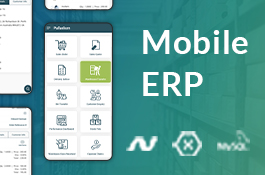 mobile-erp-160130245111-mobile-erp.jpg
