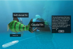 vr-fish-education-immersive-virtual-biology-learning-1744469023-edutech-labs.png