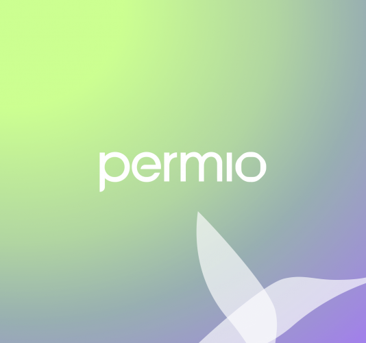 Branding &amp; Web for Permio