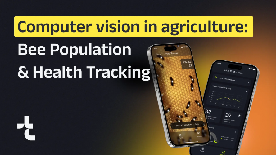 How Computer Vision in Agriculture Helps Track Bee Population and Health