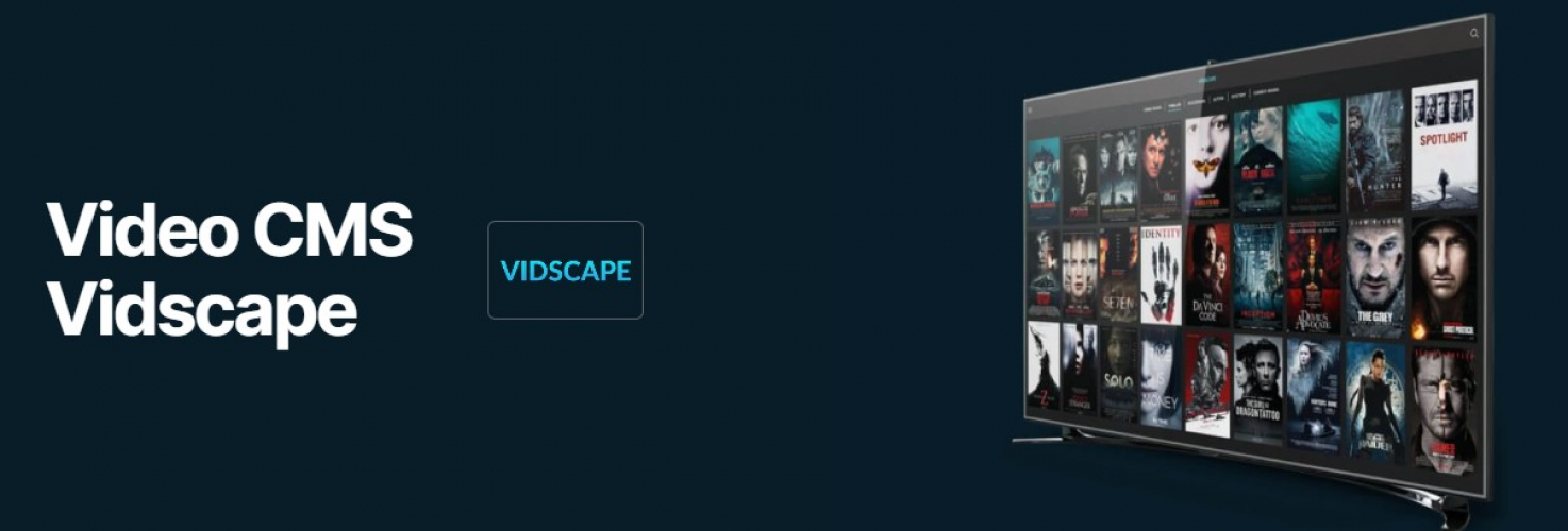 VidScape