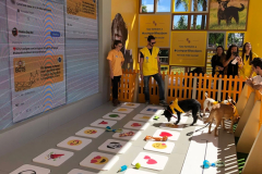 dog-bots-pedigree-1701790112-pedigree-dog-bots-02.png