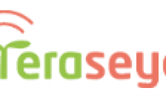 teraseya-1703759200-tera.png