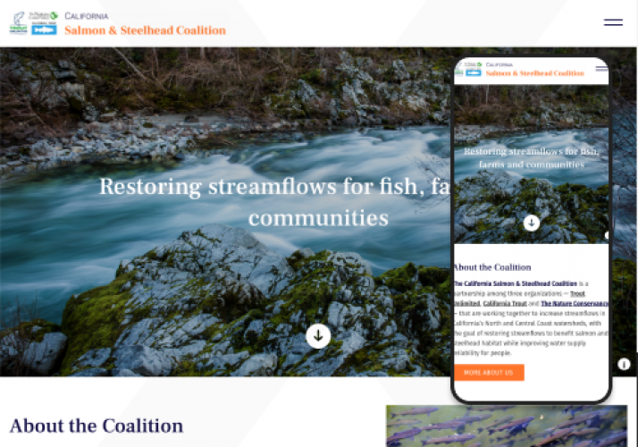 Website redesign &amp; relaunch for a Nature Conservancy project